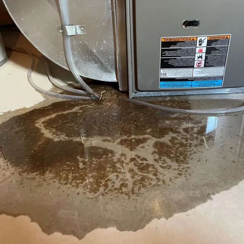 Pipe Burst and Leak Restoration in Dutch Harbor, AK